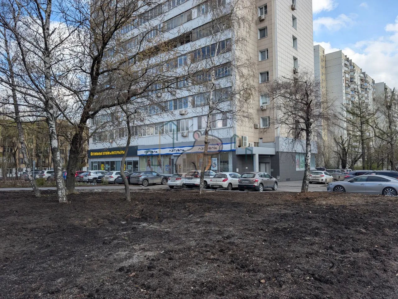 246,7 м² в Новых Черемушках - Фото 2
