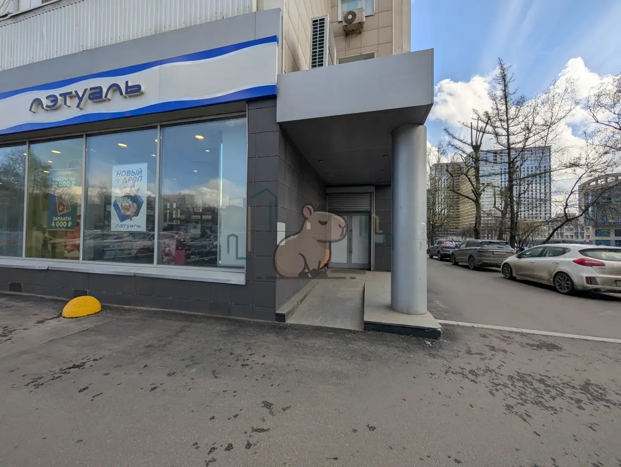 246,7 м² в Новых Черемушках - Фото 3