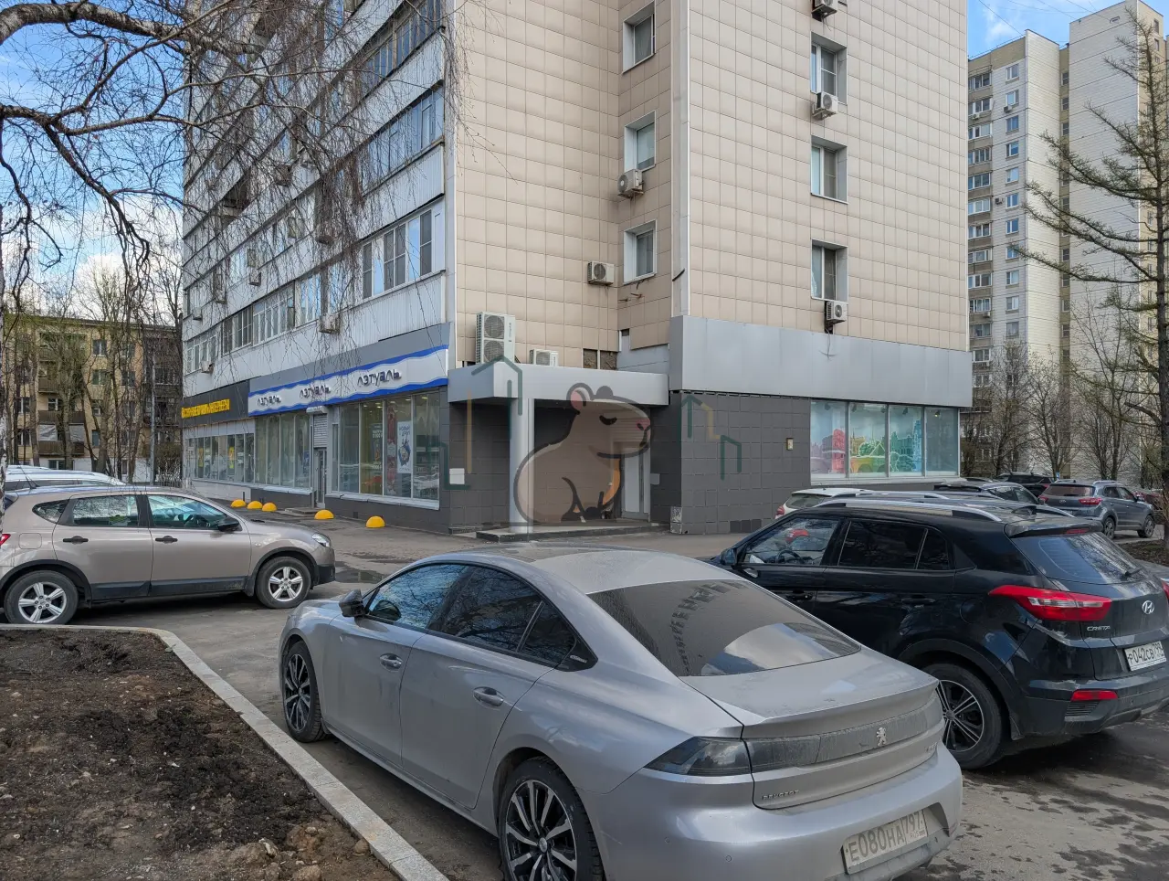 246,7 м² в Новых Черемушках - Фото 4